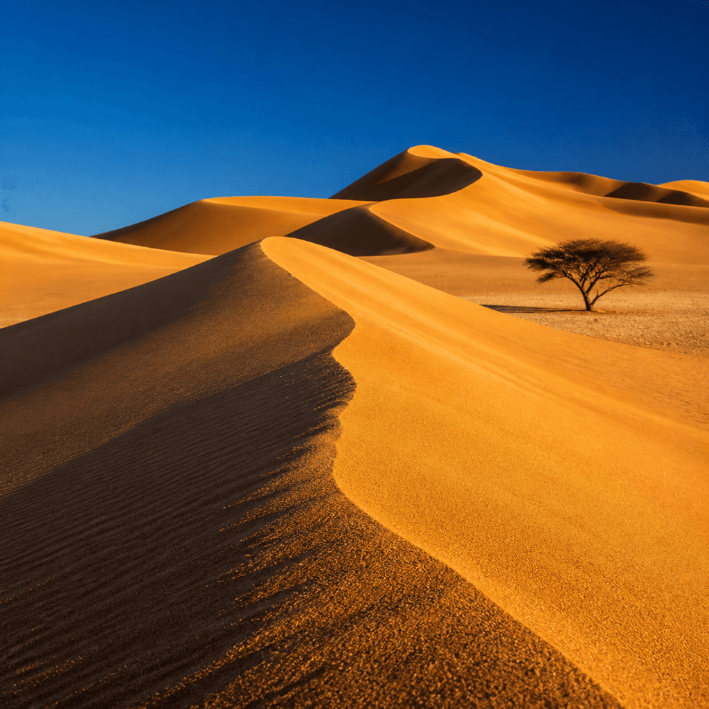 desert